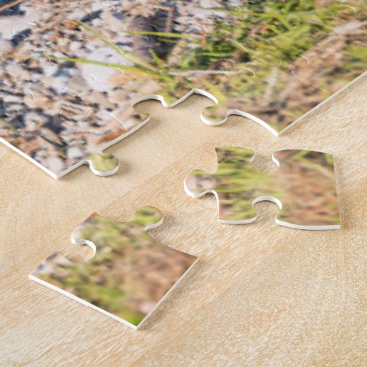 Kutest Baby Animals | Moeder Beer en kubussen Legpuzzel (Zijkant)