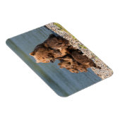 Kutest Baby Animals | Moeder Beer en kubussen Magneet (Rechterzijde)