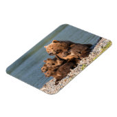 Kutest Baby Animals | Moeder Beer en kubussen Magneet (Linkerzijde)