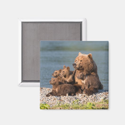 Kutest Baby Animals | Moeder Beer en kubussen Magneet (Voorkant / Achterkant)
