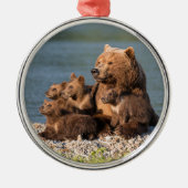 Kutest Baby Animals | Moeder Beer en kubussen Metalen Ornament (Voorkant)