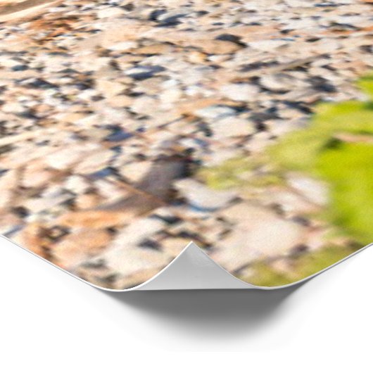 Kutest Baby Animals | Moeder Beer en kubussen Poster (Hoek)