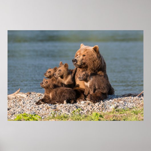 Kutest Baby Animals | Moeder Beer en kubussen Poster (Voorkant)