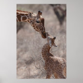Kutest Baby Animals | Moeder en Baby Giraffe Poster (Voorkant)