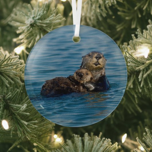 Kutest Baby Animals | Moeder en Baby Otter Glas Ornament (Insitu)