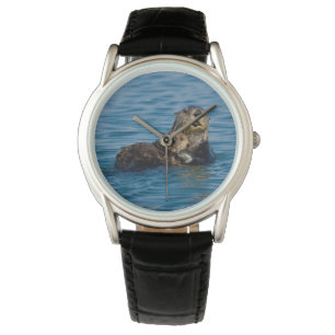 Kutest Baby Animals   Moeder en Baby Otter Horloge