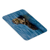 Kutest Baby Animals | Moeder en Baby Otter Magneet (Rechterzijde)