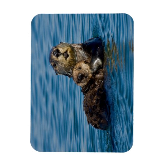 Kutest Baby Animals | Moeder en Baby Otter Magneet