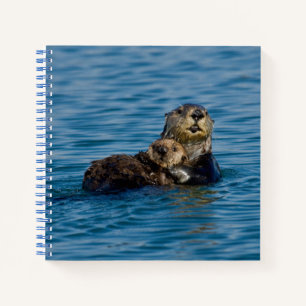 Kutest Baby Animals   Moeder en Baby Otter Notitieboek