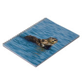 Kutest Baby Animals | Moeder en Baby Otter Notitieboek (Linkerzijde)