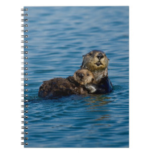 Kutest Baby Animals   Moeder en Baby Otter Notitieboek