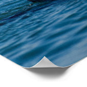 Kutest Baby Animals | Moeder en Baby Otter Poster (Hoek)