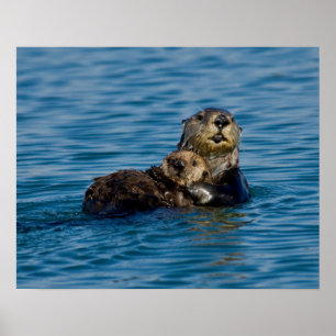 Kutest Baby Animals   Moeder en Baby Otter Poster