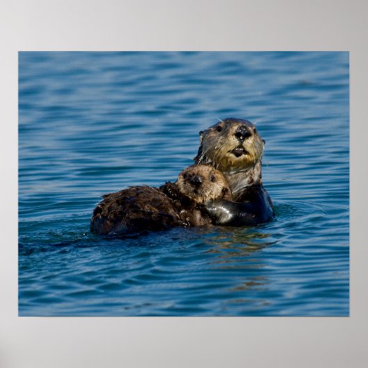 Kutest Baby Animals | Moeder en Baby Otter Poster (Voorkant)