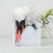 Kutest Baby Animals | Moeder en Baby Stomme Swan Bedankkaart (Staand voorkant)