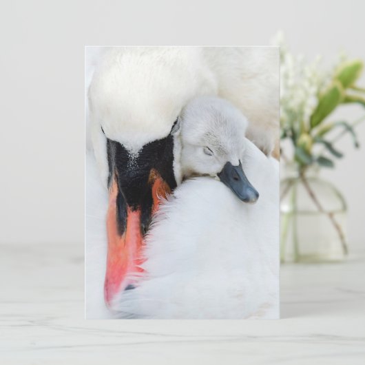 Kutest Baby Animals | Moeder en Baby Stomme Swan Bedankkaart (Staand voorkant)