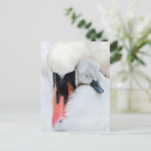 Kutest Baby Animals | Moeder en Baby Stomme Swan Briefkaart (Staand voorkant)
