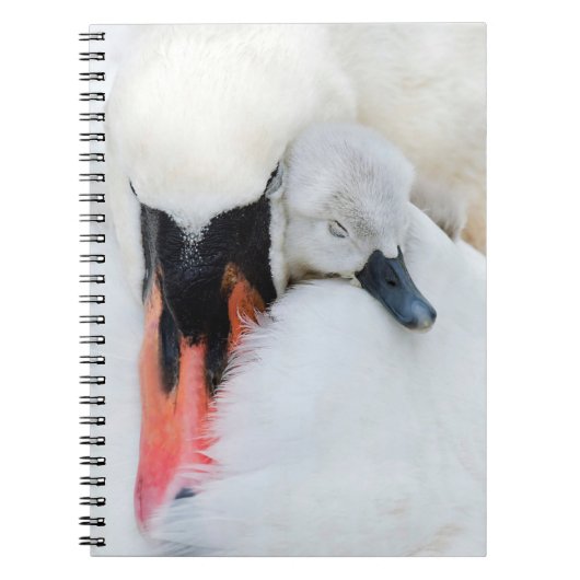 Kutest Baby Animals | Moeder en Baby Stomme Swan Notitieboek (Voorkant)