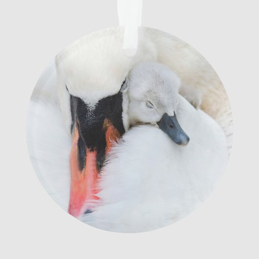 Kutest Baby Animals | Moeder en Baby Stomme Swan Ornament (achterkant)