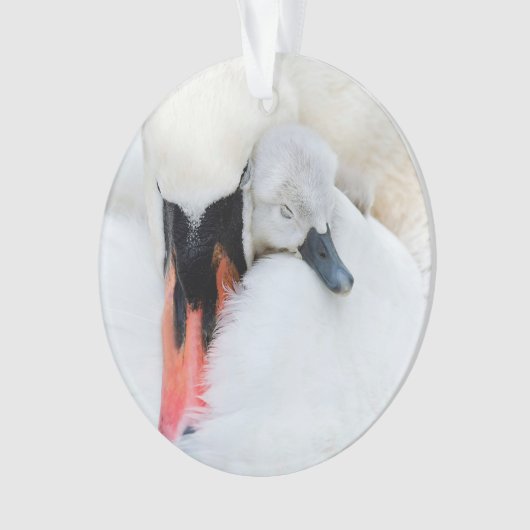 Kutest Baby Animals | Moeder en Baby Stomme Swan Ornament (voorkant)