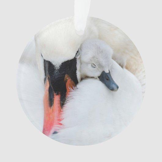 Kutest Baby Animals | Moeder en Baby Stomme Swan Ornament (voorkant)
