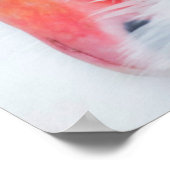 Kutest Baby Animals | Moeder en Baby Stomme Swan Poster (Hoek)