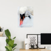 Kutest Baby Animals | Moeder en Baby Stomme Swan Poster (Thuiskantoor)