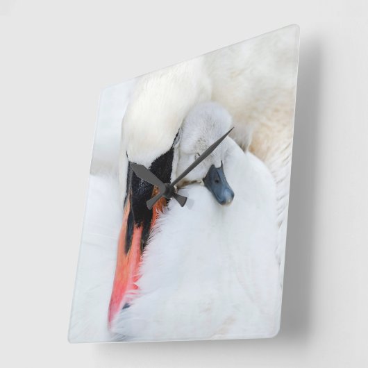 Kutest Baby Animals | Moeder en Baby Stomme Swan Vierkante Klok (Hoek)