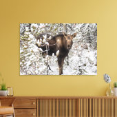 Kutest Baby Animals | Moose Calf Canvas Afdruk (Insitu (Woonkamer))