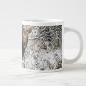 Kutest Baby Animals | Moose Calf Grote Koffiekop (Rechts)