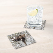 Kutest Baby Animals | Moose Calf Kartonnen Onderzetters (Insitu)