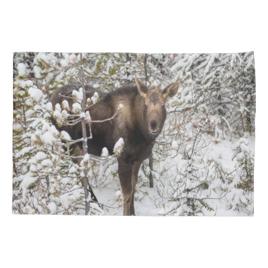 Kutest Baby Animals | Moose Calf Kussensloop (Achterkant)