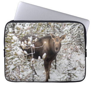 Kutest Baby Animals   Moose Calf Laptop Sleeve