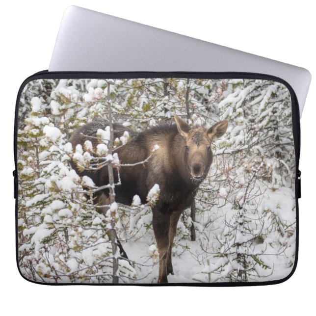 Kutest Baby Animals | Moose Calf Laptop Sleeve (Voorkant)