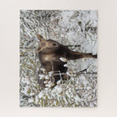 Kutest Baby Animals | Moose Calf Legpuzzel (Verticaal)