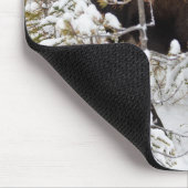 Kutest Baby Animals | Moose Calf Muismat (Hoek)