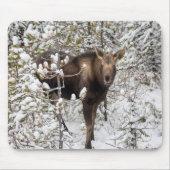 Kutest Baby Animals | Moose Calf Muismat (Voorkant)