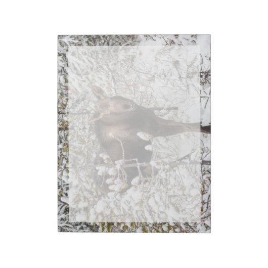 Kutest Baby Animals | Moose Calf Notitieblok (Linkerzijde)