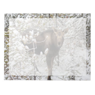 Kutest Baby Animals   Moose Calf Notitieblok