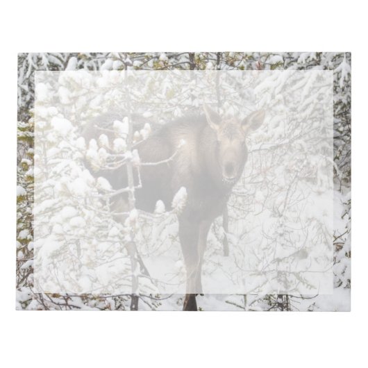 Kutest Baby Animals | Moose Calf Notitieblok (Voorkant)