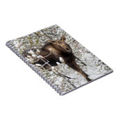 Kutest Baby Animals | Moose Calf Notitieboek (Rechterzijde)