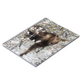 Kutest Baby Animals | Moose Calf Notitieboek (Linkerzijde)