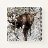 Kutest Baby Animals | Moose Calf Notitieboek (Achterkant)