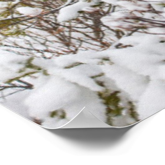 Kutest Baby Animals | Moose Calf Poster (Hoek)