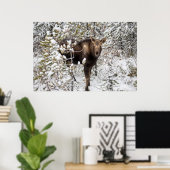 Kutest Baby Animals | Moose Calf Poster (Thuiskantoor)