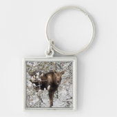 Kutest Baby Animals | Moose Calf Sleutelhanger (Voorkant)