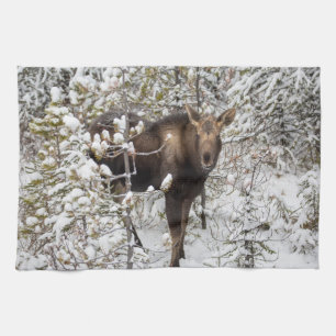 Kutest Baby Animals Moose Calf Theedoek