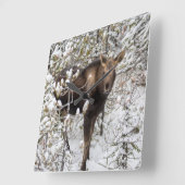 Kutest Baby Animals | Moose Calf Vierkante Klok (Hoek)