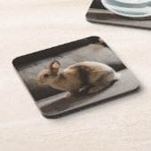 Kutest Baby Animals | Nederland Dwarf Rabbit Bier Onderzetter (Linkerzijde)