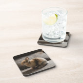 Kutest Baby Animals | Nederland Dwarf Rabbit Bier Onderzetter (Rechterzijde)